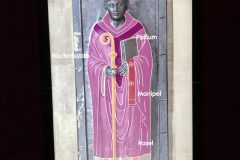 IMG_0502