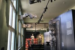 IMG_0525