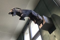 IMG_0532