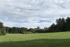 IMG_2879