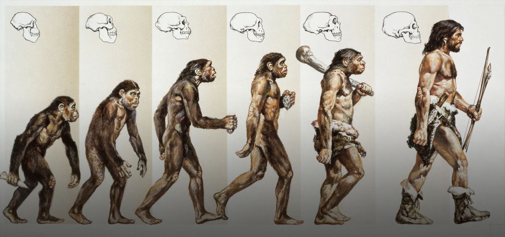 ネアンデルタール人はどこから来たのか？ ネアンデールタール博物館 ドイツ歴史探訪